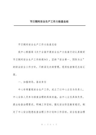 节日期间安全生产工作大检查总结