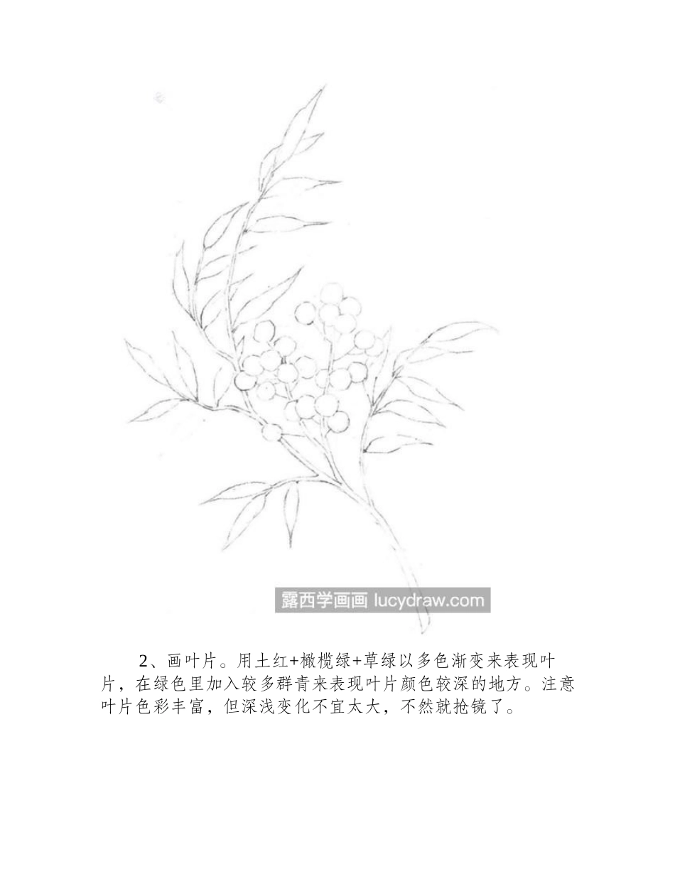 南天竹怎么画_如何运用多色渐变法_水彩画教程_第2页