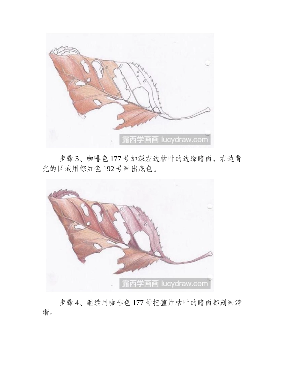 枯叶怎么画彩铅画教程_第2页