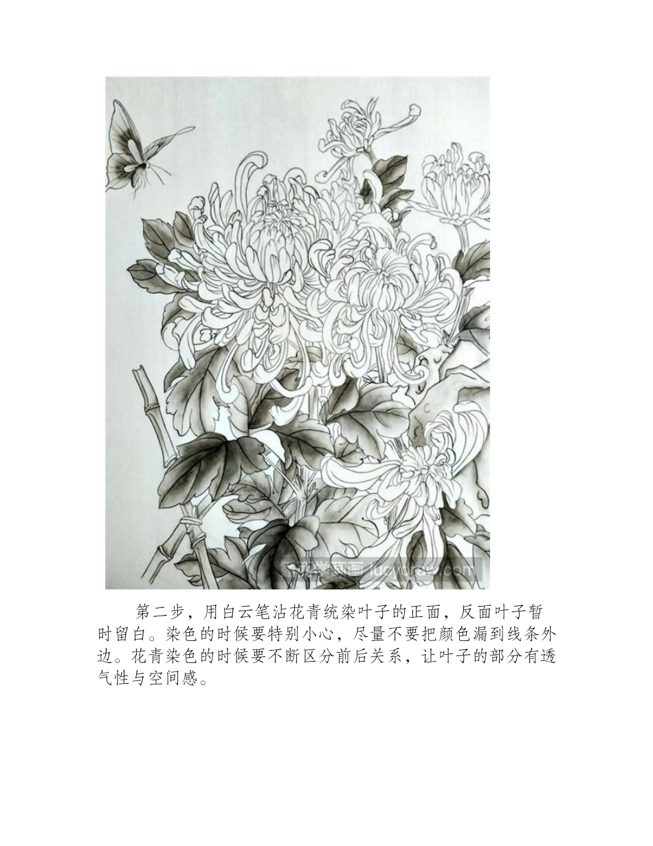 菊花与蝴蝶工笔画教程工笔画教程_第2页