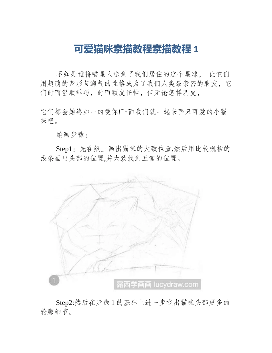 可爱猫咪素描教程素描教程1_第1页