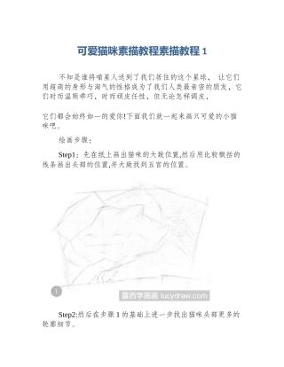 可爱猫咪素描教程素描教程1