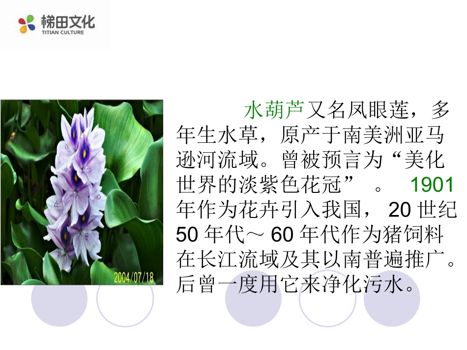 《生物入侵者》课件3_第3页