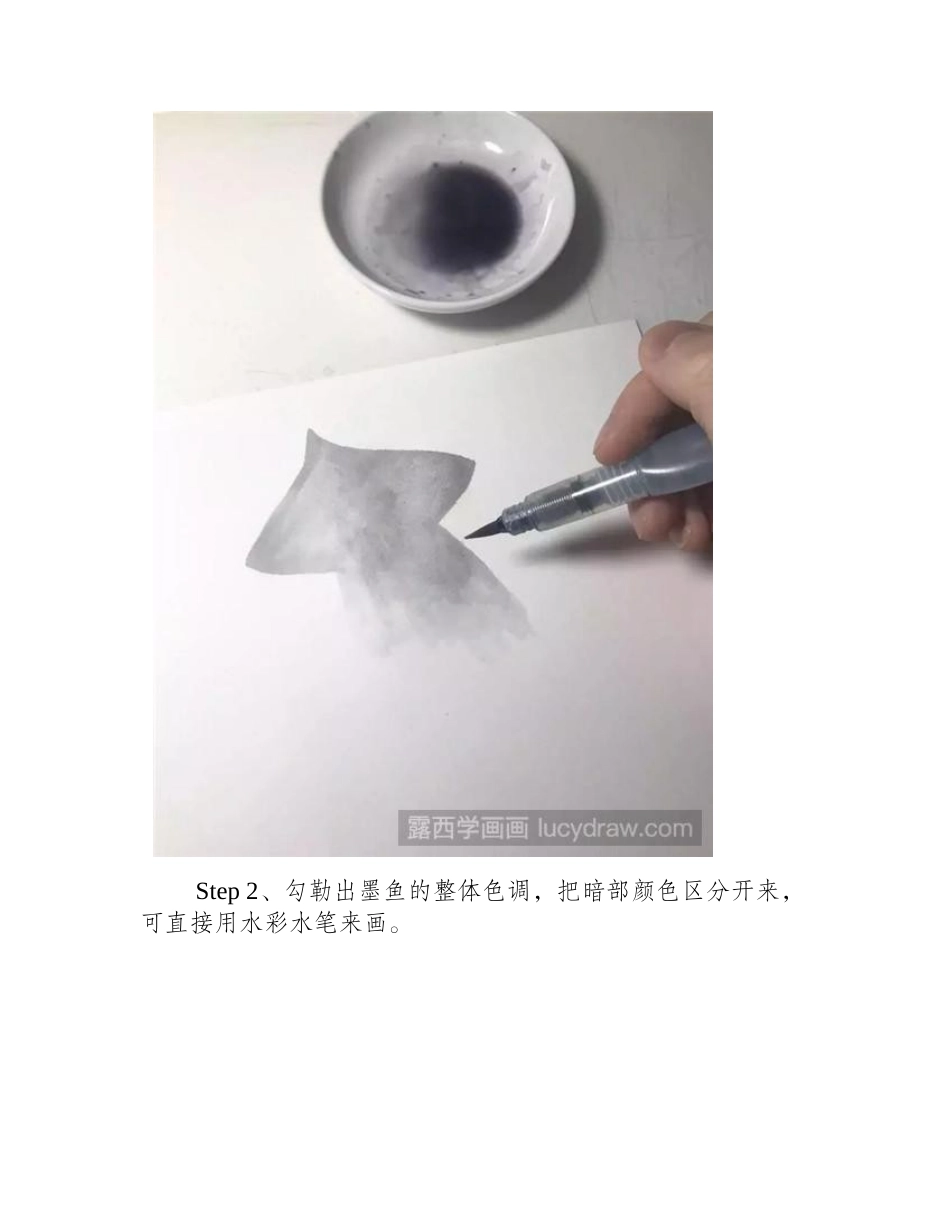 墨鱼怎么画水彩画教程_第2页