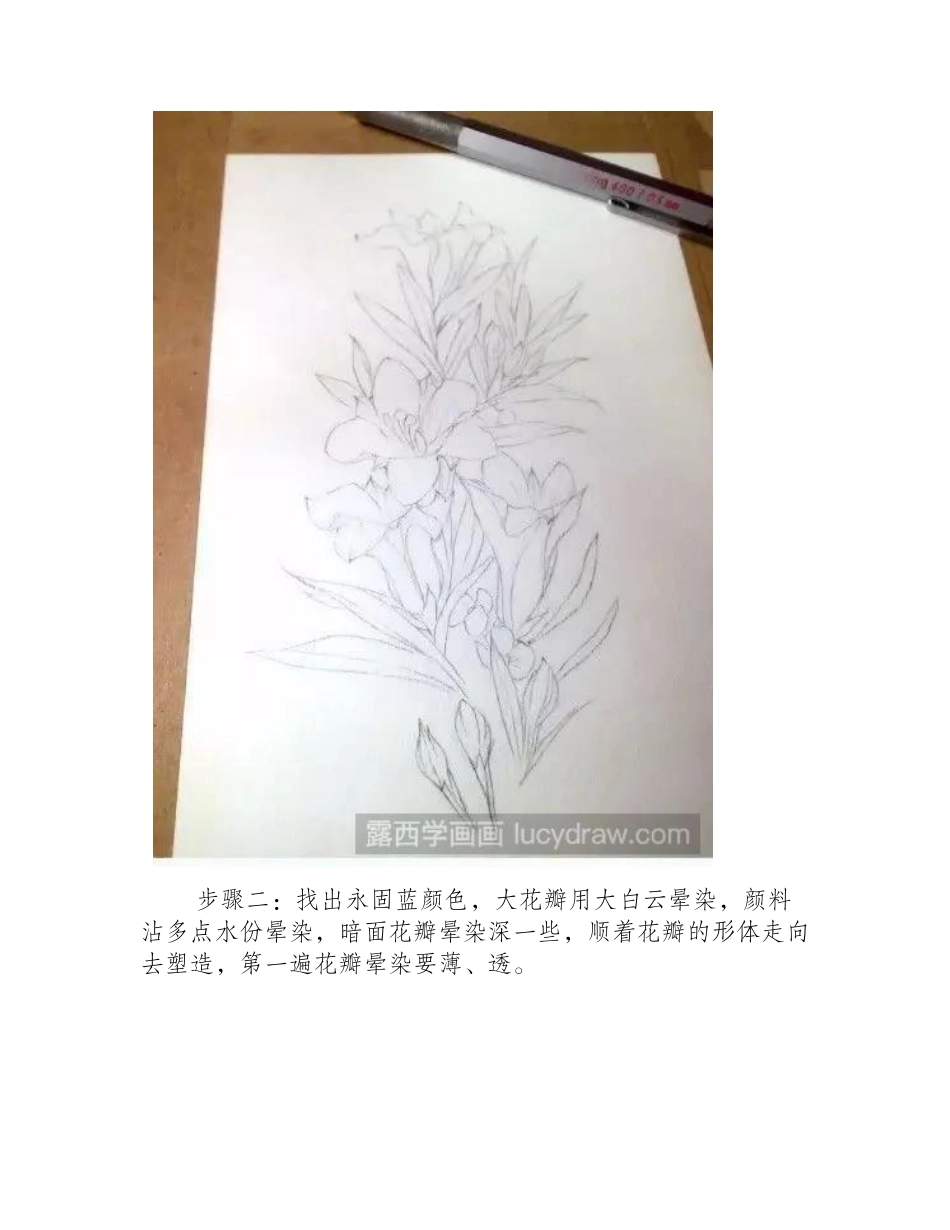 龙胆草水彩画教程水彩画教程1_第2页