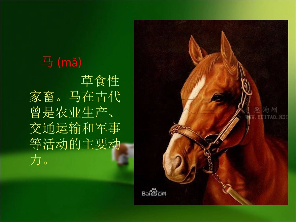 王静黎《说马画马》_第3页