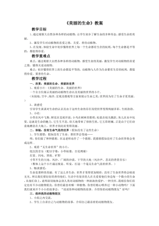 《美丽的生命》教案1