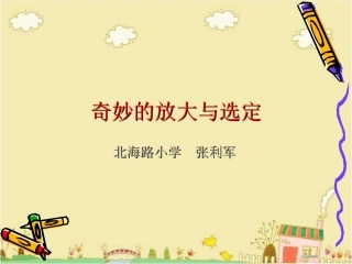 奇妙的放大与选定