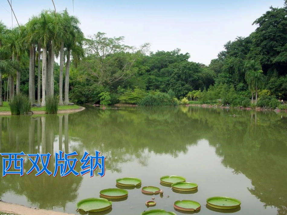 云南的歌会7_第2页