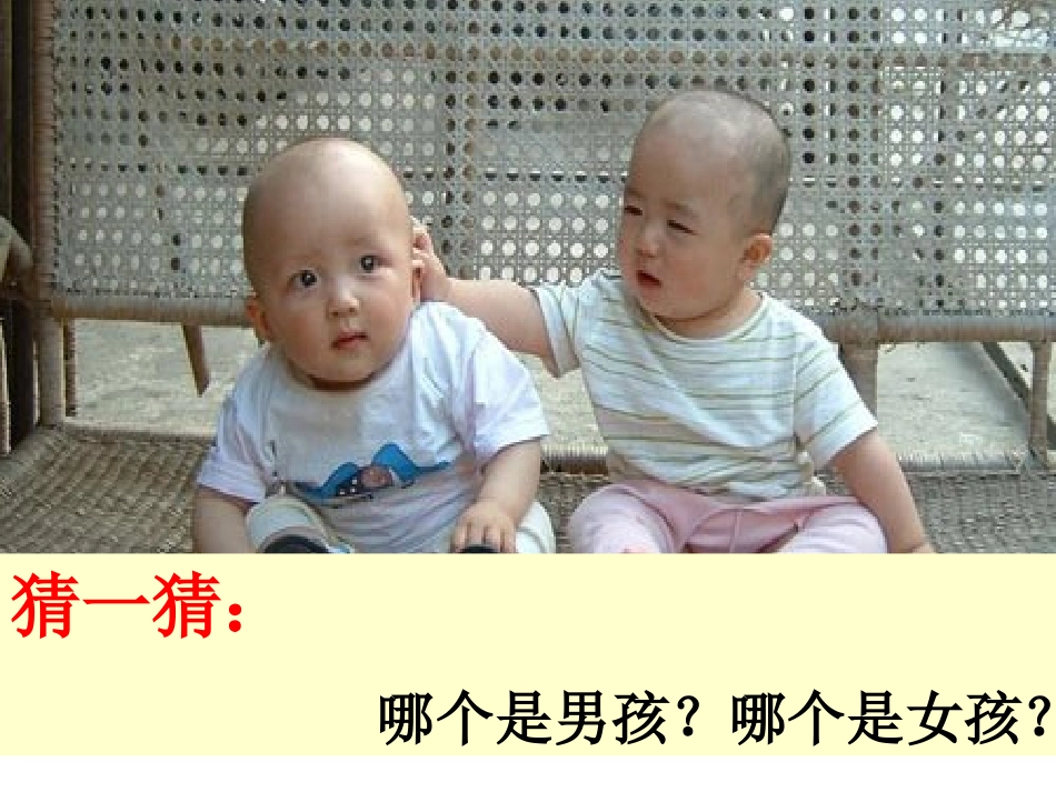 女生第一课讲座_第2页