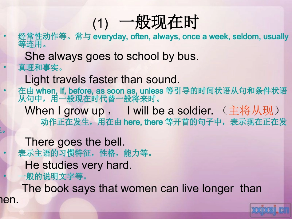 初中英语复习主要时态PPT课件_第2页