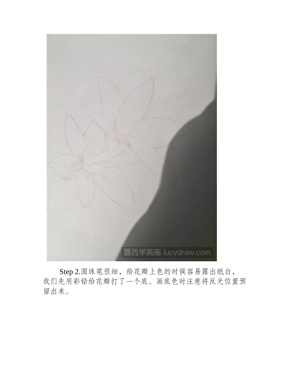 你会用圆珠笔画花吗_钢笔画教程1_第2页