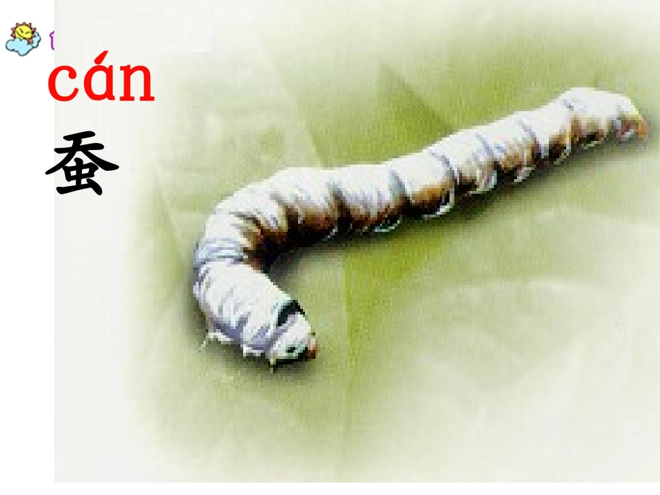 《蚕姑娘》01_第3页