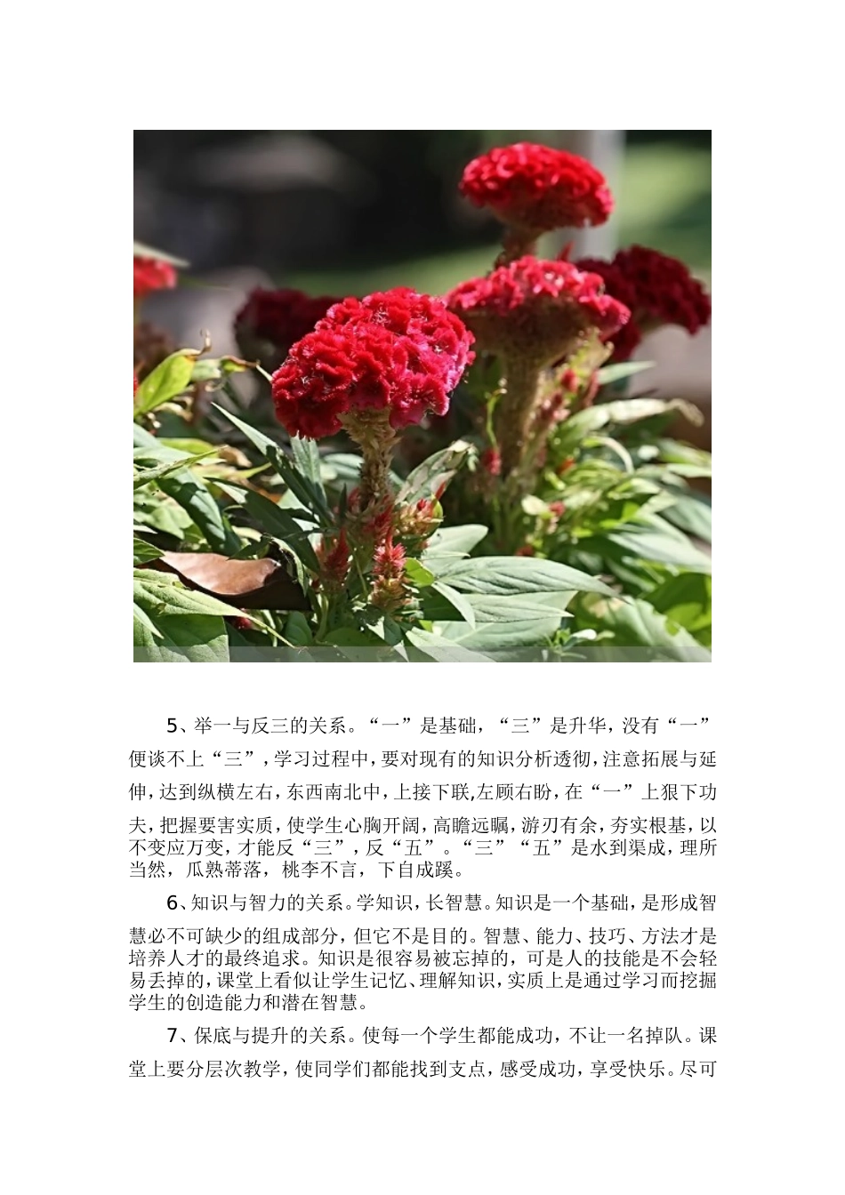 课堂教学的十个十大_第2页