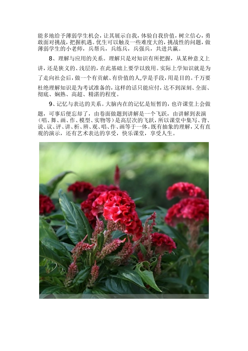 课堂教学的十个十大_第3页