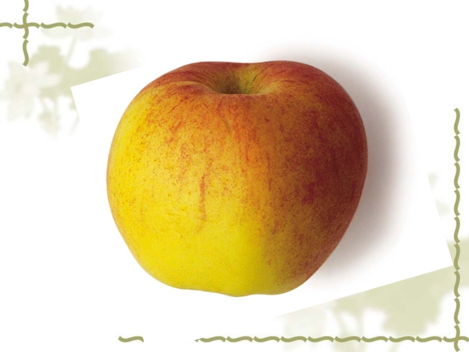 认识分数王石花_第2页