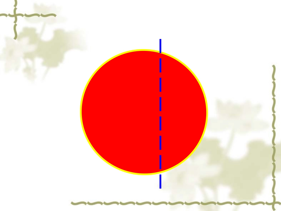 认识分数王石花_第3页
