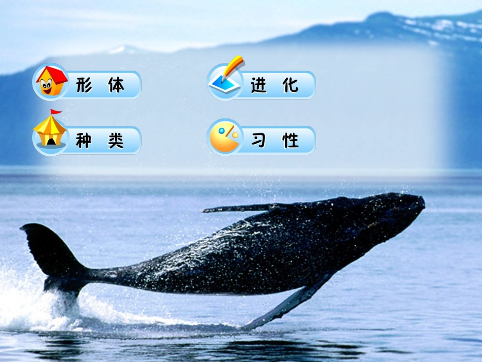 人教版五年级上册《鲸》-PPT_第3页