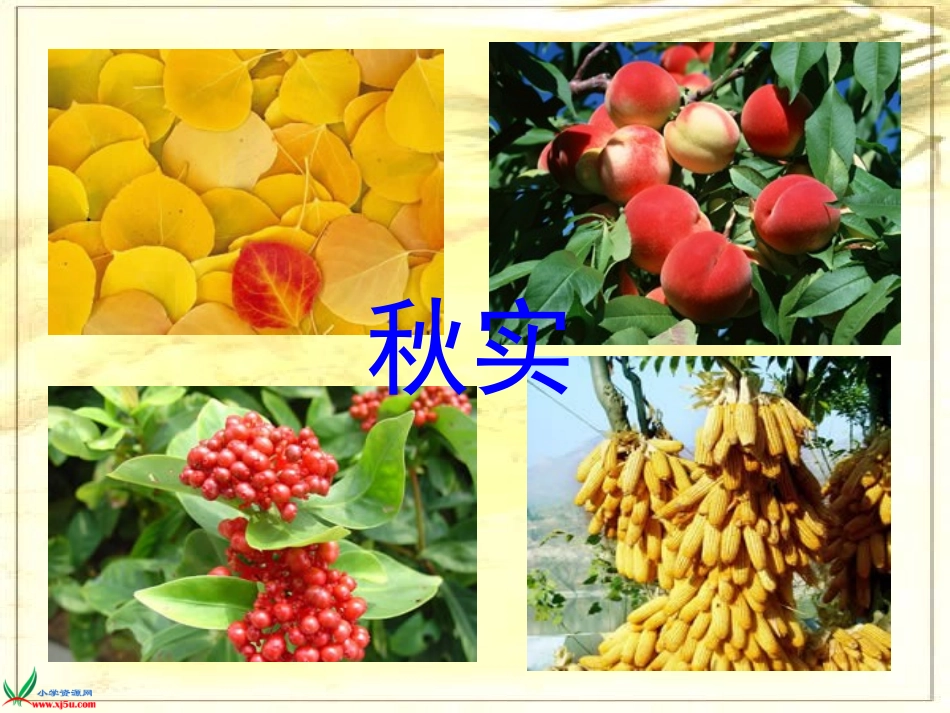 （西师大版）四年级语文上册课件秋天向我们微笑2_第3页
