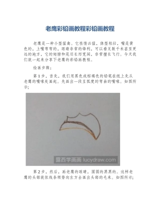 老鹰彩铅画教程彩铅画教程