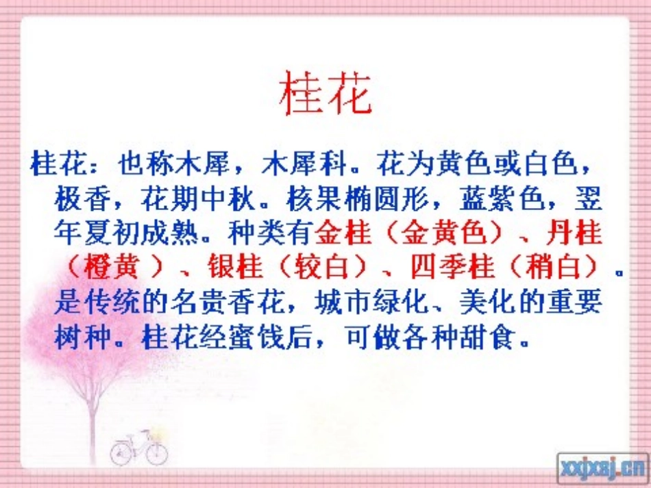 桂花雨上课用_第2页