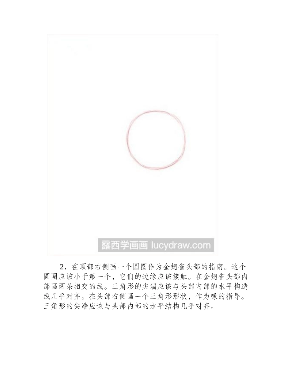 金翅雀速写教程速写教程_第2页