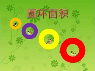 圆环的面积1 (2)
