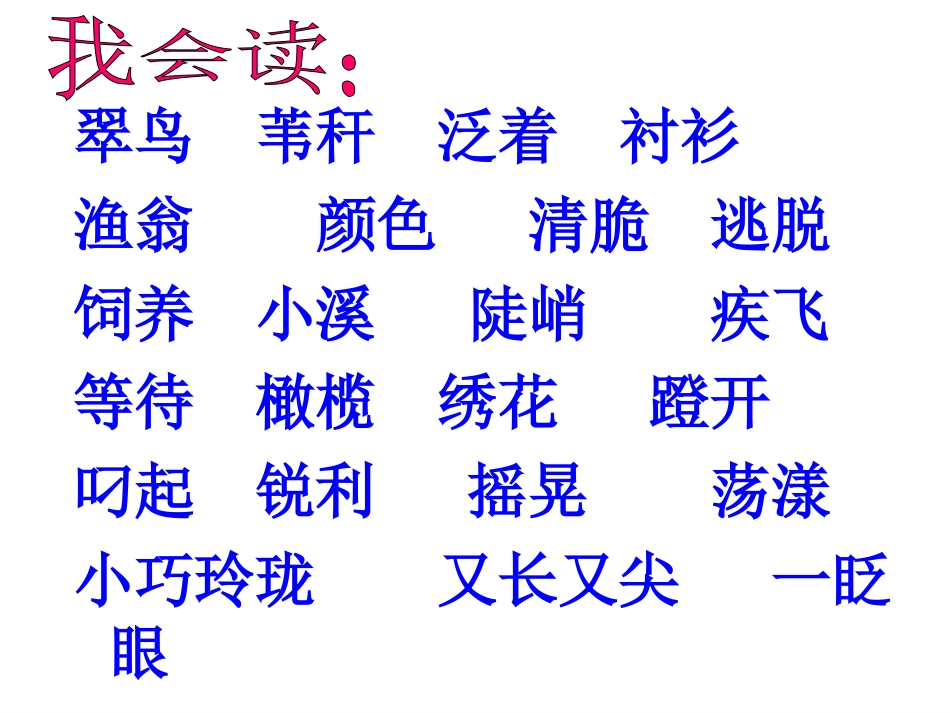 三年级上册《翠鸟》课件_第3页