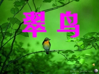 三年级上册《翠鸟》课件