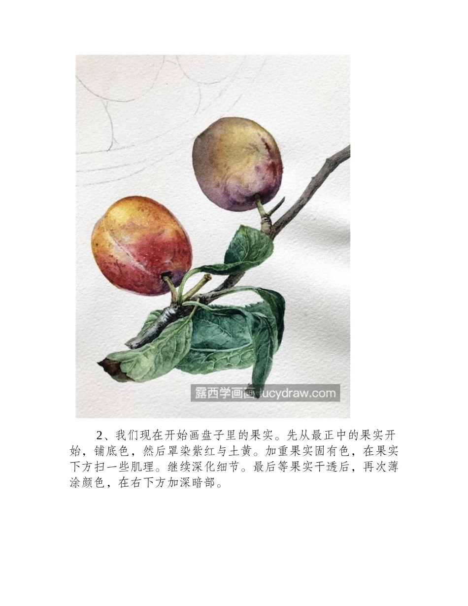 盆子里的西梅怎么画_水彩绘画过程是什么_水彩画教程_第2页