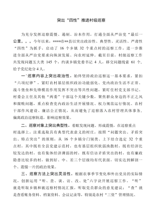 经验交流材料突出四性推进村级巡察 