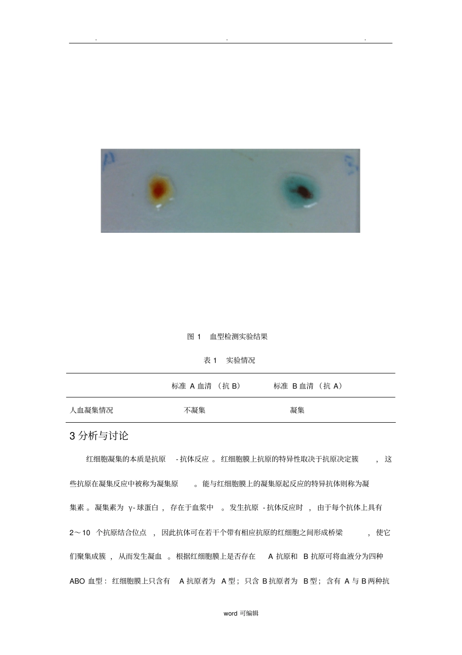 ABO血型鉴定与分析报告_第2页
