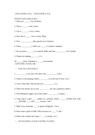 人称代词与物主代词讲解与专项练习2012