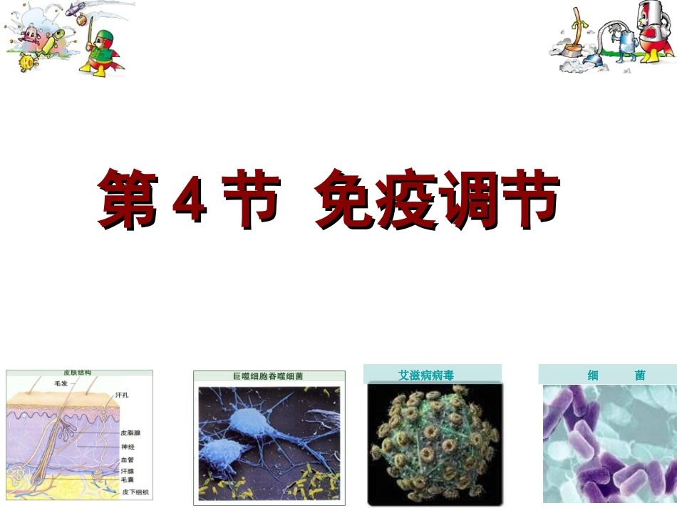 免疫调节(理科)_第1页