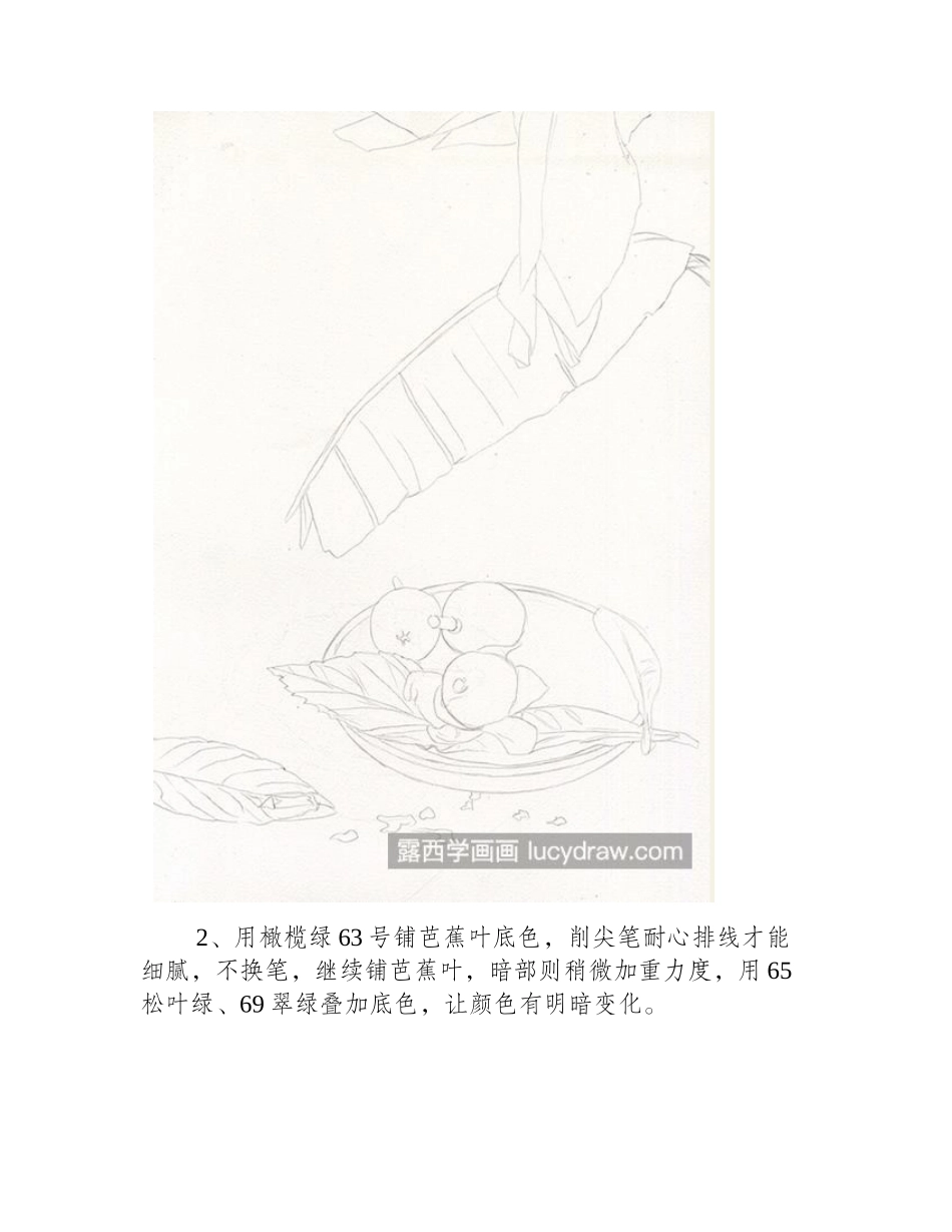枇杷怎么画_芦橘的上色步骤有几步_彩铅画教程_第2页