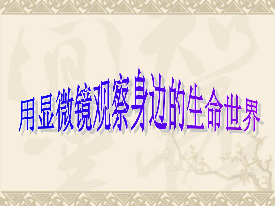 教科版小学科学六年级下册第一单元《用显微镜观察身边的生命世界》课件_第1页