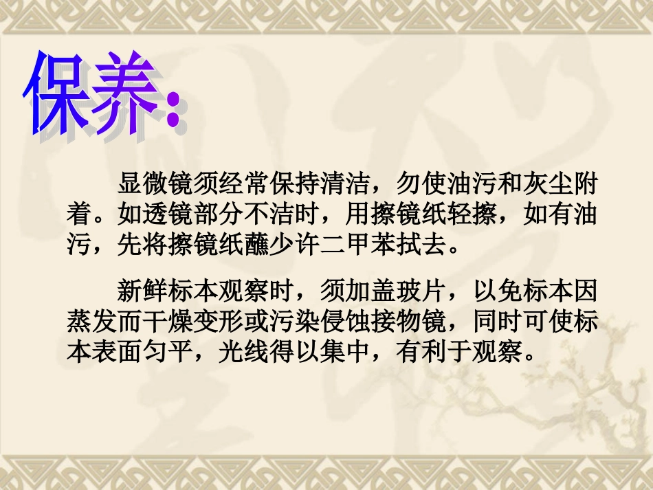 教科版小学科学六年级下册第一单元《用显微镜观察身边的生命世界》课件_第3页