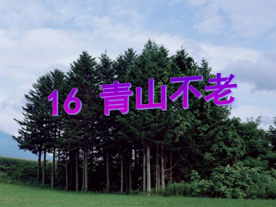 青山不老jsp_第2页