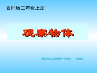二上《观察物体》