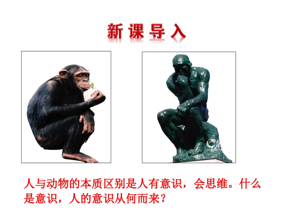 必修451意识的本质_第2页