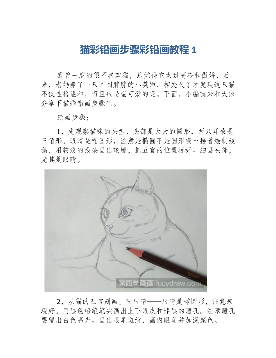 猫彩铅画步骤彩铅画教程1_第1页