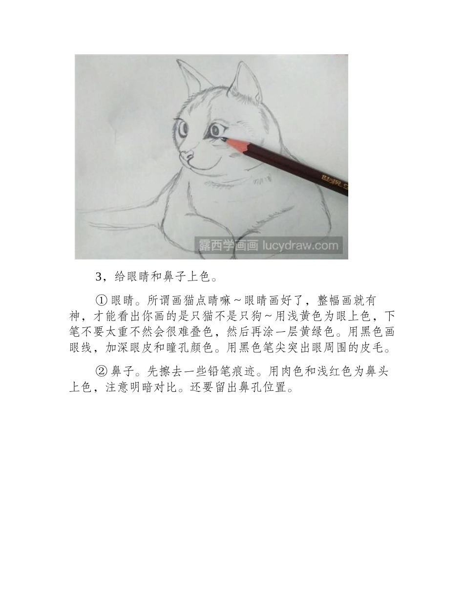 猫彩铅画步骤彩铅画教程1_第2页