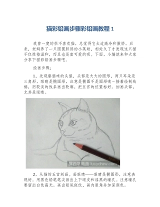 猫彩铅画步骤彩铅画教程1