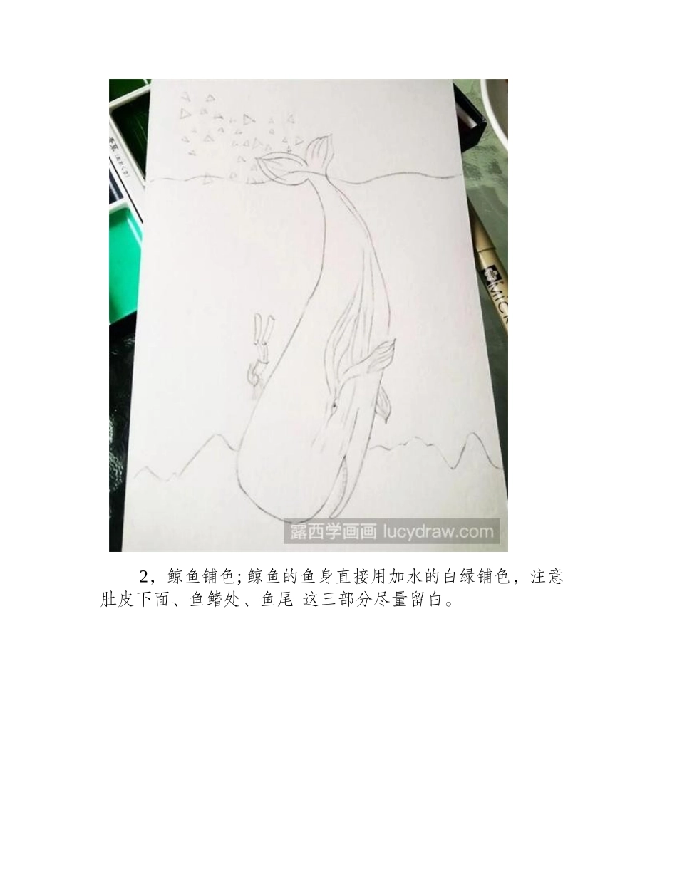 鲸鱼插画教程插画教程_第2页