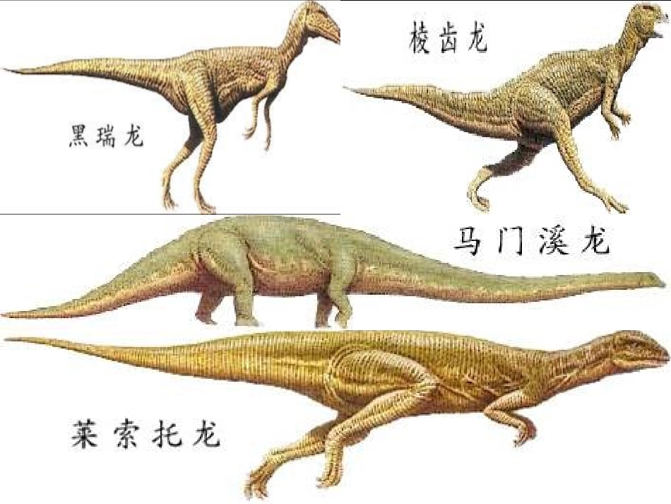 飞向蓝天的恐龙完整版_第2页