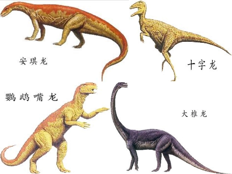 飞向蓝天的恐龙完整版_第3页