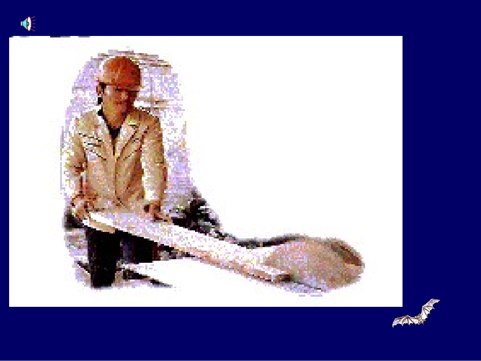 令人厌烦的噪声课件_第2页