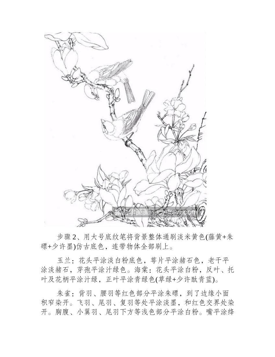 酒红朱雀怎么画_玉兰花的工笔步骤有几步_工笔画教程_第2页