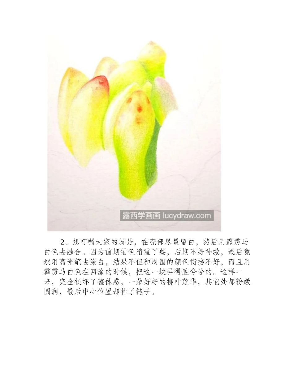 柳叶莲华怎么画_多肉的彩铅画步骤有几步_彩铅画教程_第2页