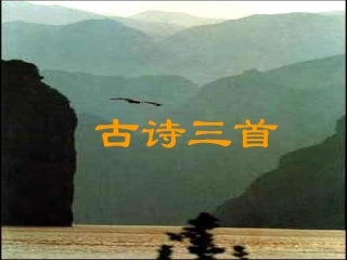 《古诗三首》（蝉、孤雁、鹧鸪）课件